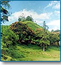 Tour to Kerala Dreamscape