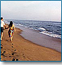 Tropical Beach Tour
