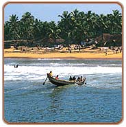 Coconut grove Beach, Kerala Travels