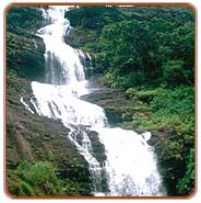 Waterfall, Trivandrum Vacations