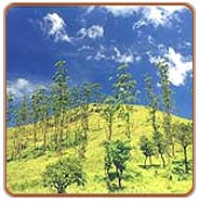 Hills, Waynadu Travels