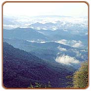 Hill View, Waynadu Travel Packages