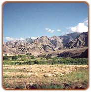 Alchi, Ladakh Tours