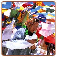 Festival,HemisTravels