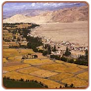 Indus View, Thi Tours