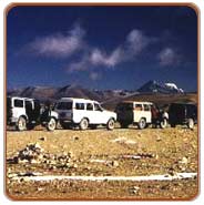 Jeep Safari, Leh Travels & Tours