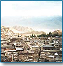 Ladakh Intensive Tour