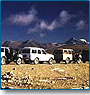 Ladakh Safari Tour 