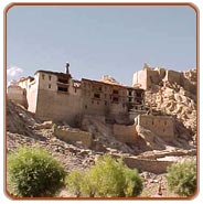 View, Ladakh Vacations