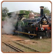 Fairy Queen Train Tour