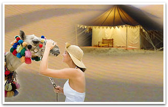 Jaisalmer Travels