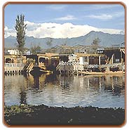 Lake, Srinagar Travels