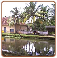 Cannal, Alleppey Tours & Travels
