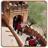 Amber Fort, Jaipur Tourism