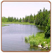 Backwaters, Kumarakom Holiday Vacations