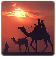 Desert Sunset, Jaipur Travels