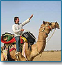Camel Ride in Rajasthan