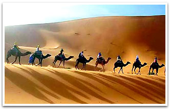Camel Safari, Jaisalmer Travels