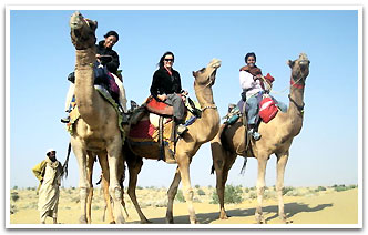 Camel Safari, Jodhpur Tour & Travels