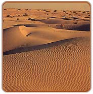 Sand Dunes, Jodhpur Travel Packages