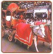 Gangaur Festival, Jaipur Tours