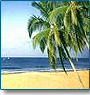 Rajasthan with Taj & Beaches