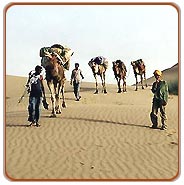 Camel Safari, Jaisalmer Vacations