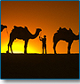 Heritage Tour of Rajasthan 