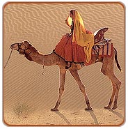 Camel Ride, Jaisalmer Vacations