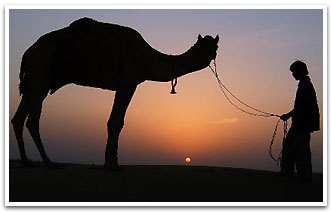 Camel Safari, Jaisalmer Tours