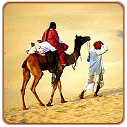 Desert, Jaisalmer Travels