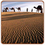Desert, Jaisalmer Travel Packages