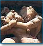 Pick & Choose - Rajasthan with khajuraho
