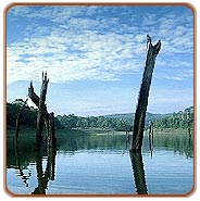 Lake Periyar, Periyar Holiday Vacations