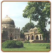 Lodhi Garden, Delhi Travel Guide