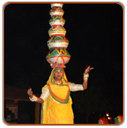 Mewar Pride Tour