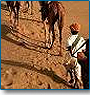 Desert Trail with North India