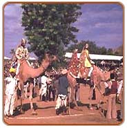 Pushkar Mela, Pushkar Vacations
