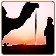 Extensive, Rajasthan Tours