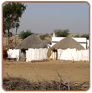 Rajasthan Tribal Tours