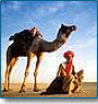 Special Rajasthan Tour 