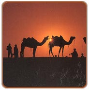 Sunset, Rajasthan Vacations