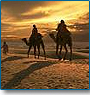 Thar Desert Tour