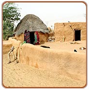 Rajasthan Village Tours