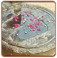 Foot Prints, Lumbini Travels