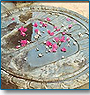 Foot Step of Buddha