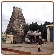 Kapaleeshwara Temple, Chennai Travel