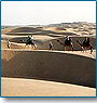 Desert Safari Tour 