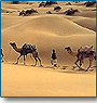 10 Days Desert Safari Tour