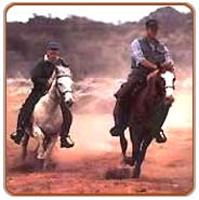 Horse Safari, Bandhavgarh Travel Packages
